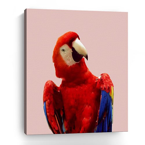 30" Vibrant and Vivid Bird Canvas Wall Art