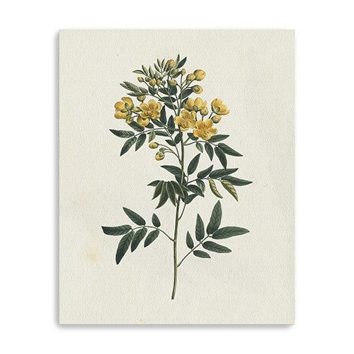 20" Singular Yellow Blossom Branch Canvas Wall Art