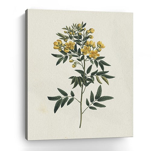 30" Singular Yellow Blossom Branch Canvas Wall Art