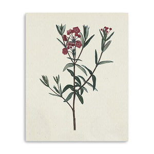 20" Singular Red Blossom Branch Canvas Wall Art