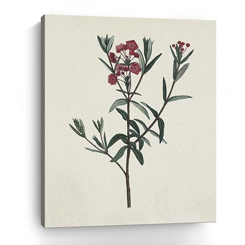 30" Singular Red Blossom Branch Canvas Wall Art