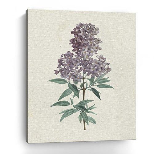 30" Singular Purple Blossom Branch Canvas Wall Art