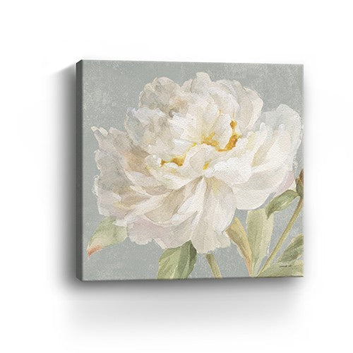 20" Angelic White Peony Flower Canvas Wall Art