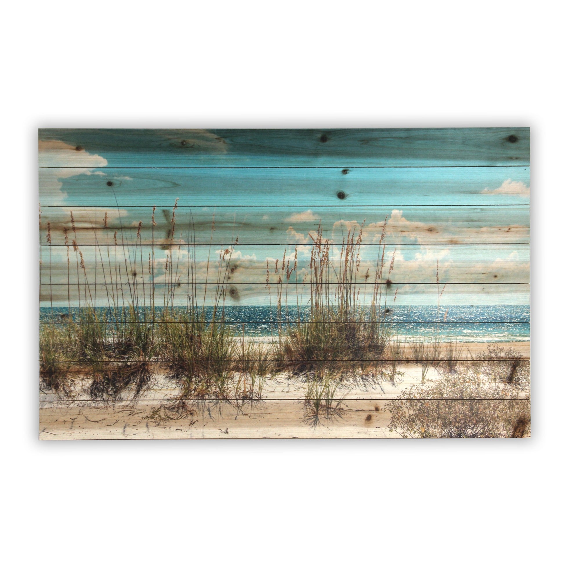 48" Ocean Sand Dunes Wood Plank Wall Art