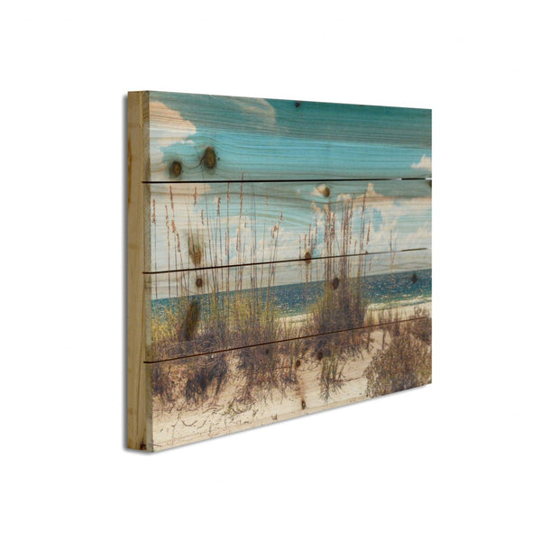 18" Ocean Sand Dunes Wood Plank Wall Art