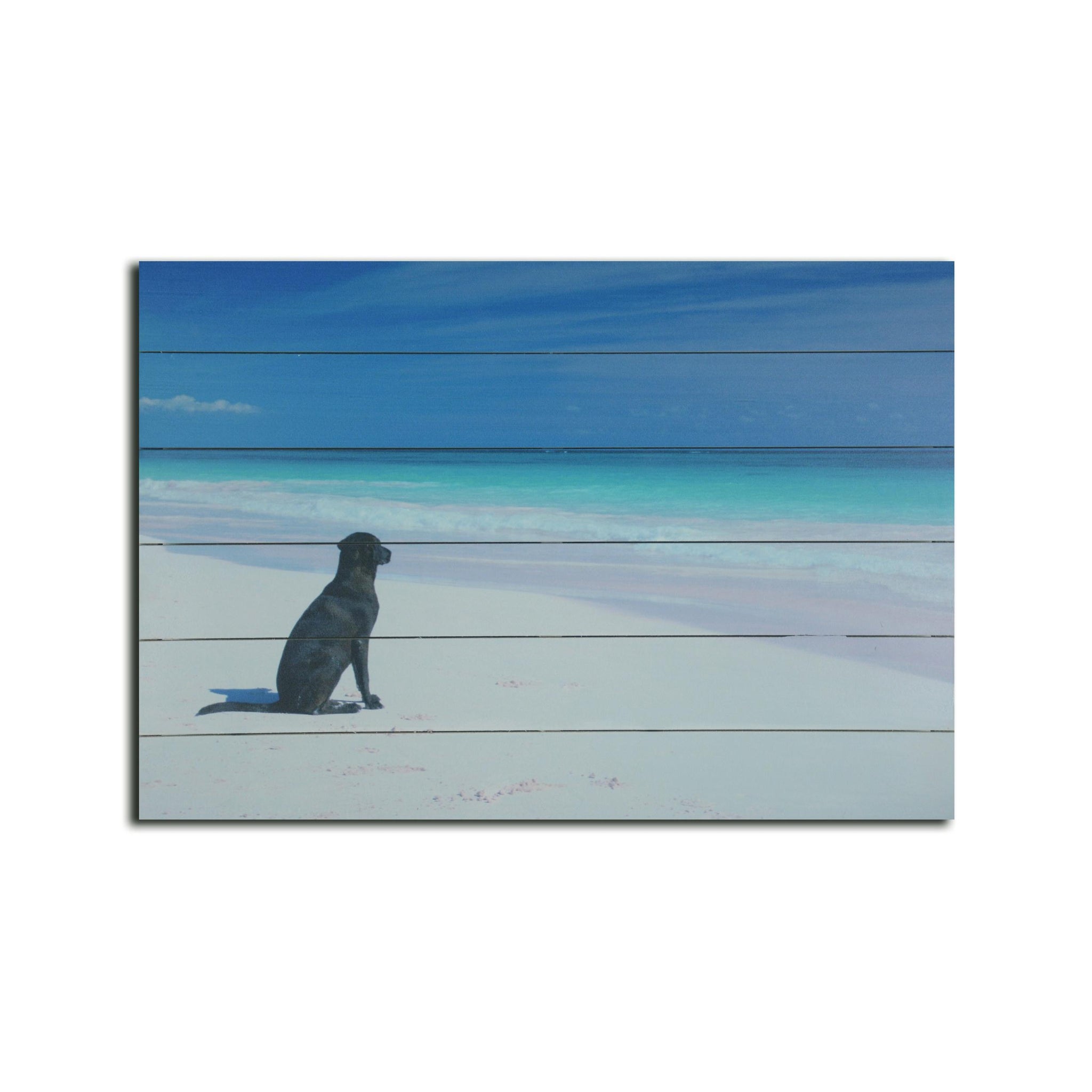 26" Energetic Dog at the Beach Wood Plank Wall Art