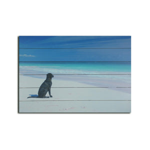 26" Energetic Dog at the Beach Wood Plank Wall Art