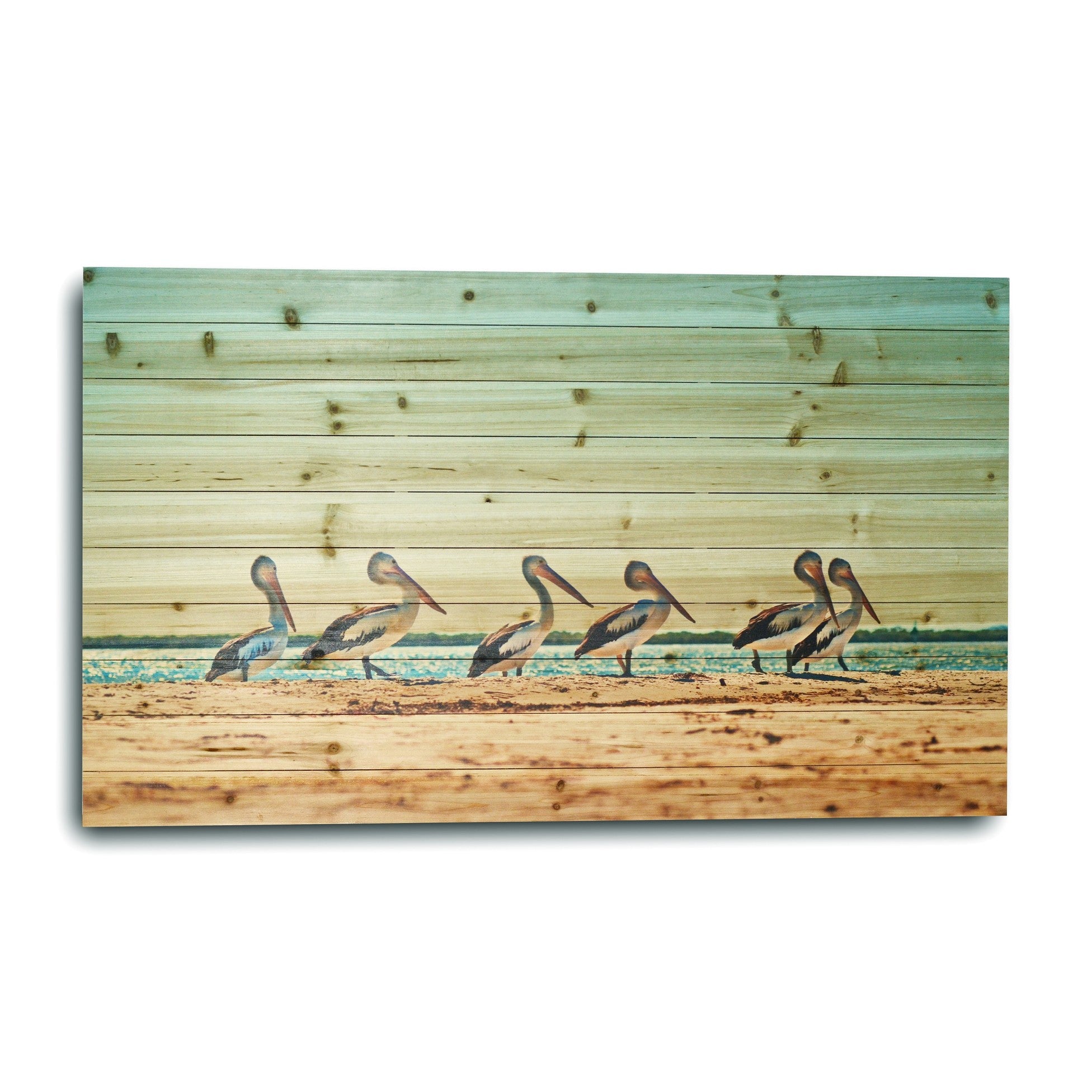 48" Pelican Flock at the Beach Wood Plank Wall Art