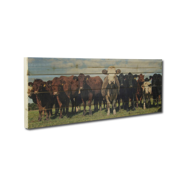 36" Charming Cow Herd Wood Plank Wall Art