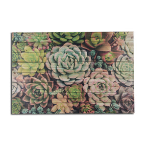 Green Soothing Succulents Wood Plank Wall Art