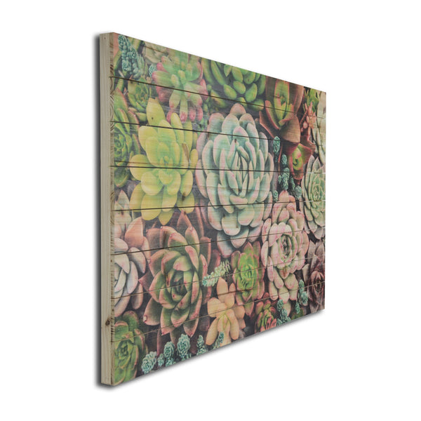 Green Soothing Succulents Wood Plank Wall Art