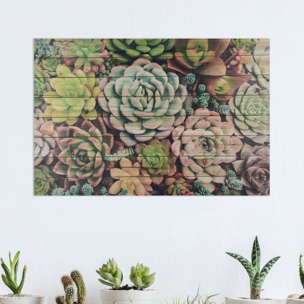 Green Soothing Succulents Wood Plank Wall Art