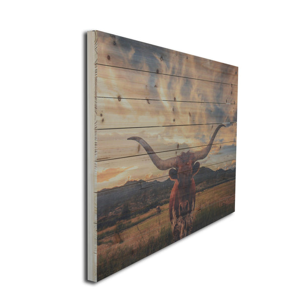 Longhorn Cow in Field Wood Plank Wall Art