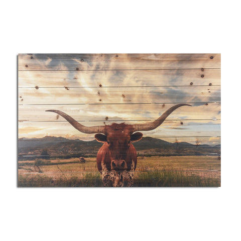 Longhorn Cow in Field Wood Plank Wall Art