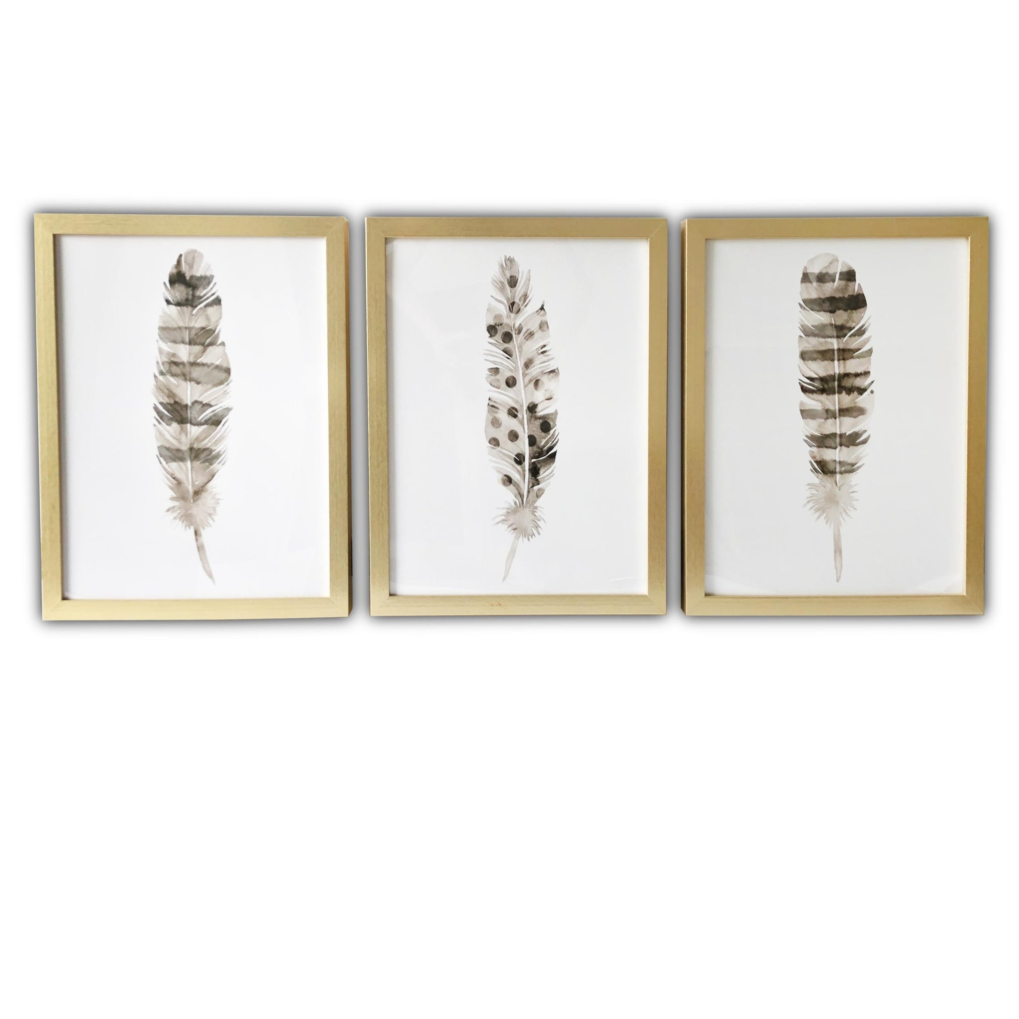 Set of Three Three Neutral Brown Feathers Framed Wall Art Set