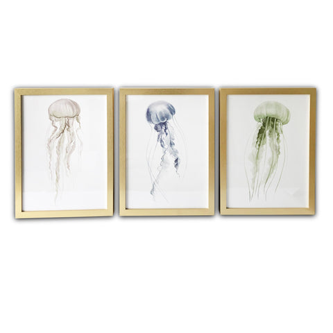 Set of Three Blue Green Brown Jellyfish Framed Wall Art Set