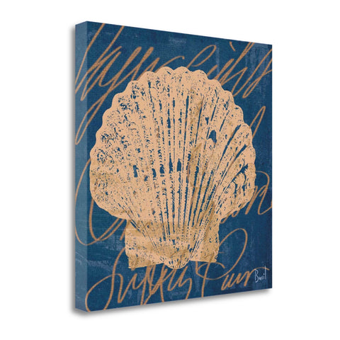 22" Seashell on Blue Background Gallery Wrap Canvas Wall Art