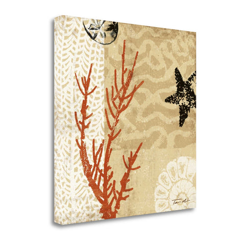 24" Underwater Coral with Starfish and Sandollar 2 Giclee Wrap Canvas Wall Art