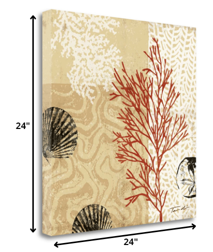 24" Underwater Coral with Seashells and Sandollar 2 Giclee Wrap Canvas Wall Art