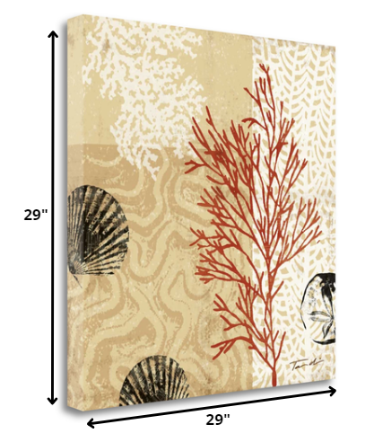 29" Underwater Coral with Seashells and Sandollar 3 Giclee Wrap Canvas Wall Art