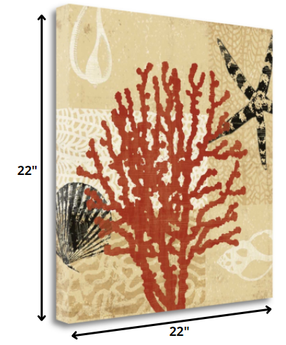 22" Underwater Coral with Seashells and Starfish Giclee Wrap Canvas Wall Art