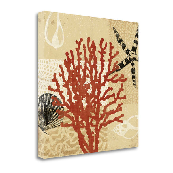 22" Underwater Coral with Seashells and Starfish Giclee Wrap Canvas Wall Art