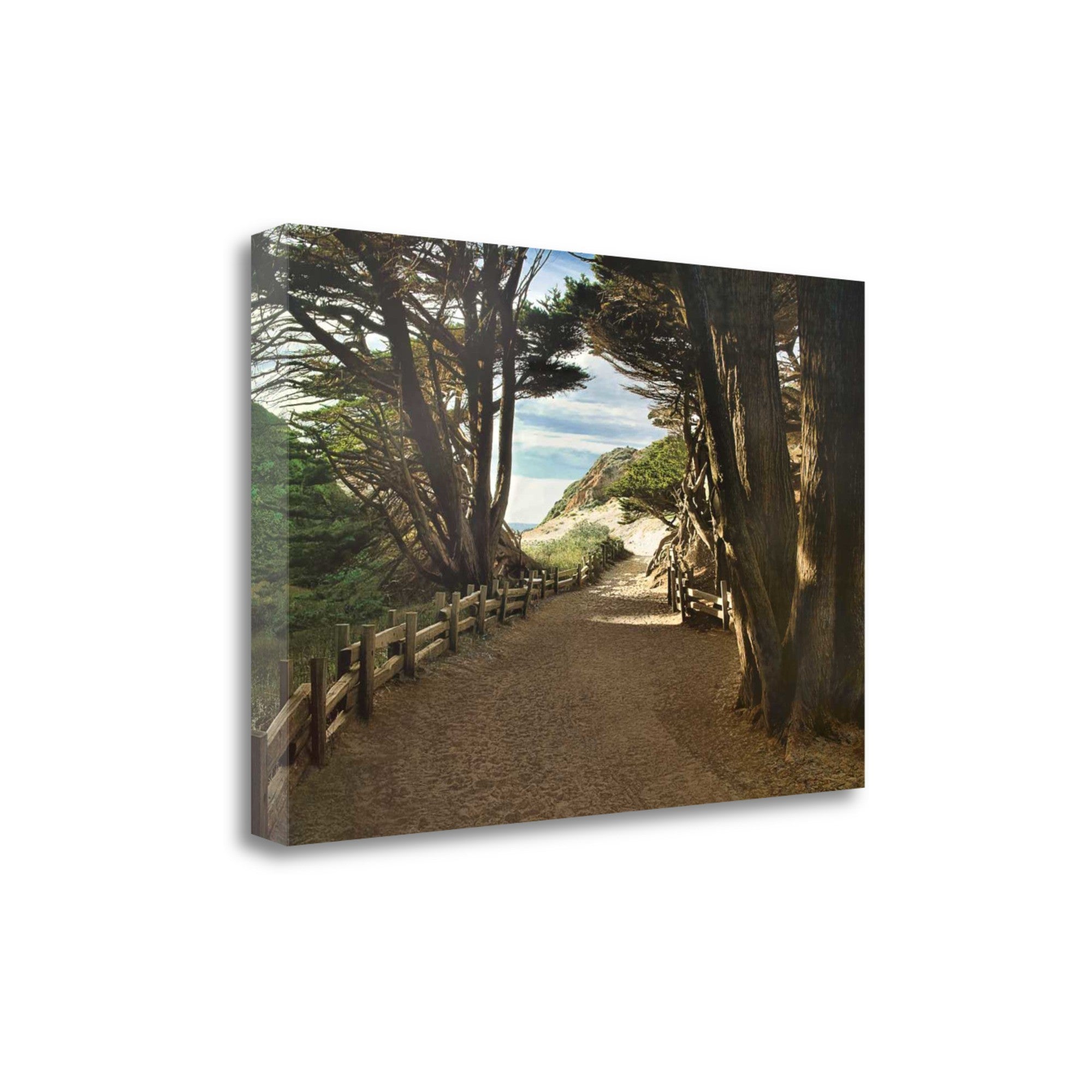 29" Forest Walk by the Beach Print on Gallery Wrap Canvas Wall Art