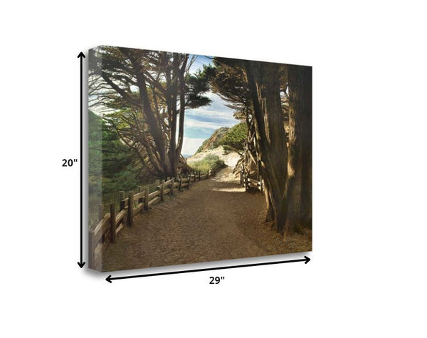 29" Forest Walk by the Beach Print on Gallery Wrap Canvas Wall Art