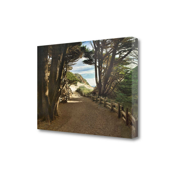 29" Forest Walk by the Beach Print on Gallery Wrap Canvas Wall Art