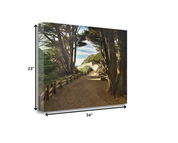 34" Forest Walk by the Beach Print on Gallery Wrap Canvas Wall Art