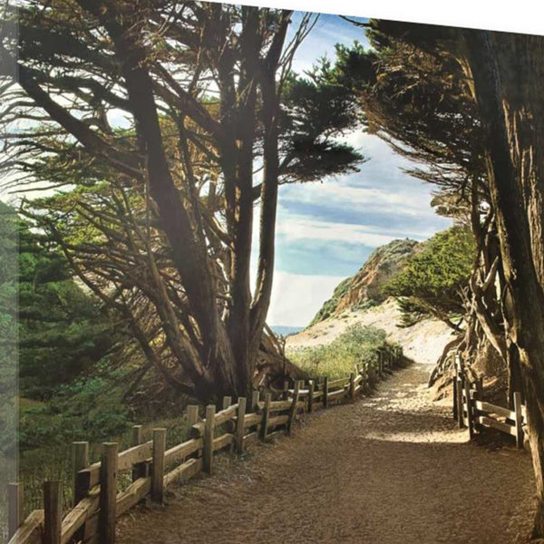 34" Forest Walk by the Beach Print on Gallery Wrap Canvas Wall Art