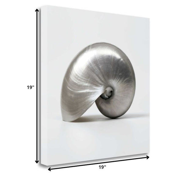 19" Contemporary Metallic Seashell Print on Gallery Wrap Canvas Wall Art