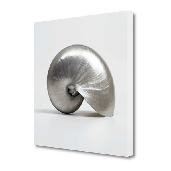 19" Contemporary Metallic Seashell Print on Gallery Wrap Canvas Wall Art