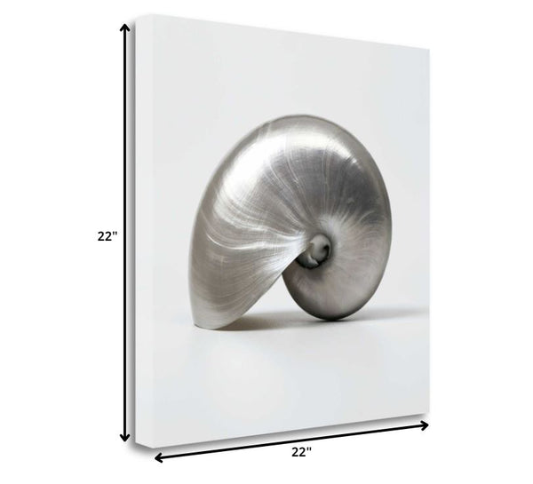 22" Contemporary Metallic Seashell Print on Gallery Wrap Canvas Wall Art