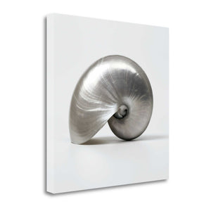 22" Contemporary Metallic Seashell Print on Gallery Wrap Canvas Wall Art