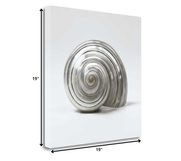 19" Contemporary Metallic Silver Seashell Print on Gallery Wrap Canvas Wall Art