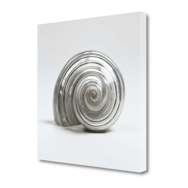 19" Contemporary Metallic Silver Seashell Print on Gallery Wrap Canvas Wall Art