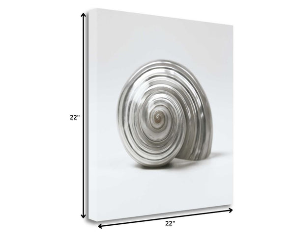 22" Contemporary Metallic Silver Seashell Print on Gallery Wrap Canvas Wall Art