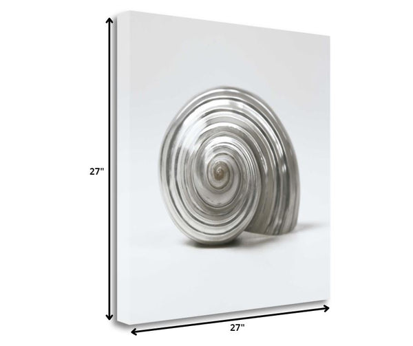 27" Contemporary Metallic Silver Seashell Print on Gallery Wrap Canvas Wall Art