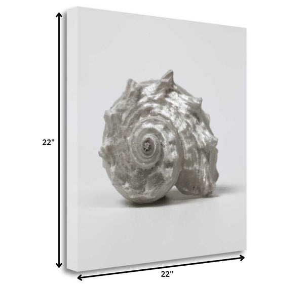 22" Contemporary Silver Seashell Print on Gallery Wrap Canvas Wall Art