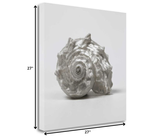 27" Contemporary Silver Seashell Print on Gallery Wrap Canvas Wall Art