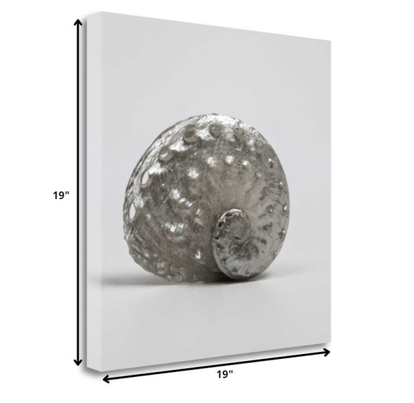 19" Contemporary Metallic Silver Shell Print on Gallery Wrap Canvas Wall Art