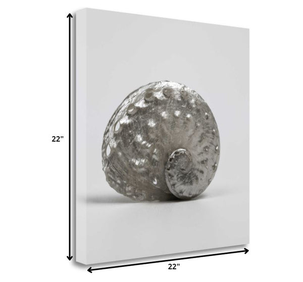 22" Contemporary Metallic Silver Shell Print on Gallery Wrap Canvas Wall Art