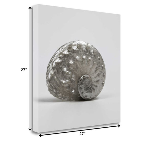 27" Contemporary Metallic Silver Shell Print on Gallery Wrap Canvas Wall Art