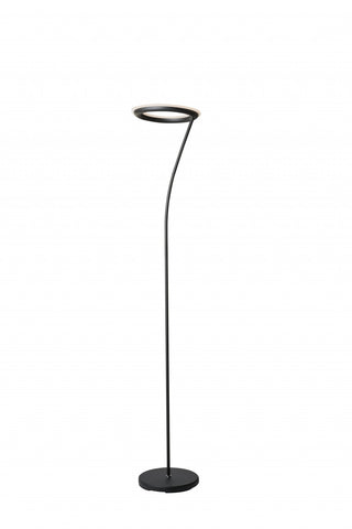 Black Metal Floor Lamp with Halo Shade