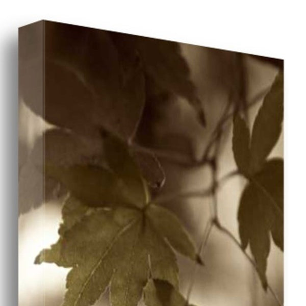 97" Focused Forest Leaves 1 Giclee Wrap Canvas Wall Art