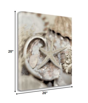 15" Sandy Starfish and Seashells 1 Giclee Wrap Canvas Wall Art