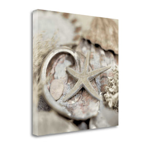 15" Sandy Starfish and Seashells 1 Giclee Wrap Canvas Wall Art