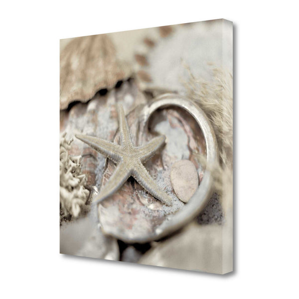 15" Sandy Starfish and Seashells 1 Giclee Wrap Canvas Wall Art