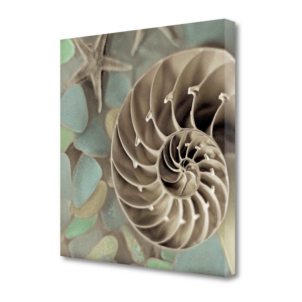 14" Snailshell and Seaglass 1 Giclee Wrap Canvas Wall Art